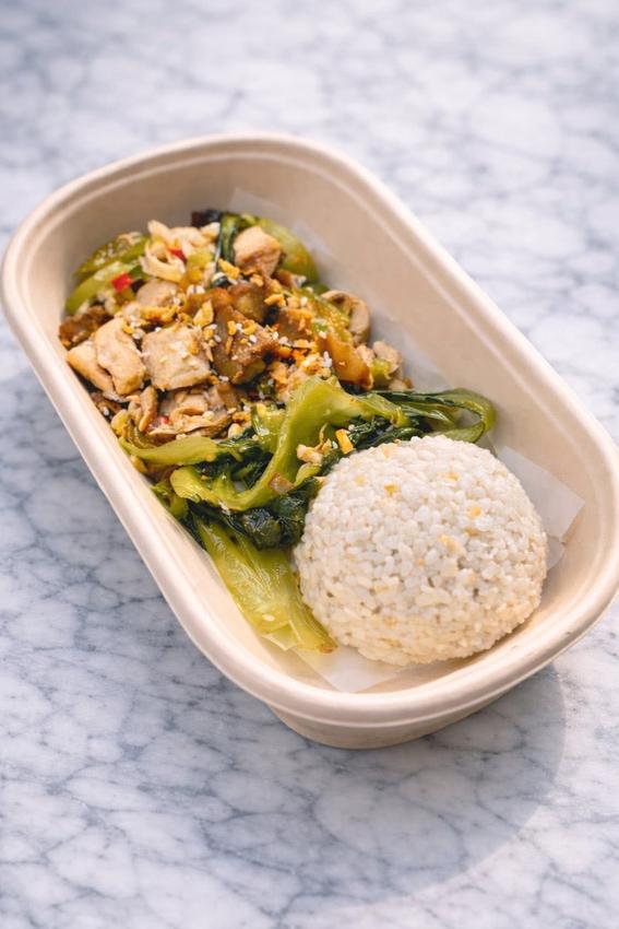 Eco container meal box